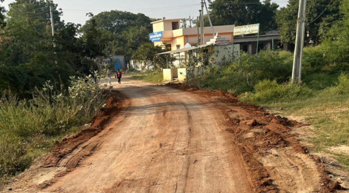 గ్రామ సమస్యలు పరిష్కరిస్తా: బుసిరెడ్డి పాండన్న