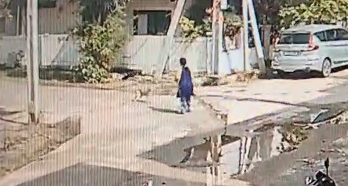 కుక్కల స్వైర విహారం.. మహిళా పై దాడి