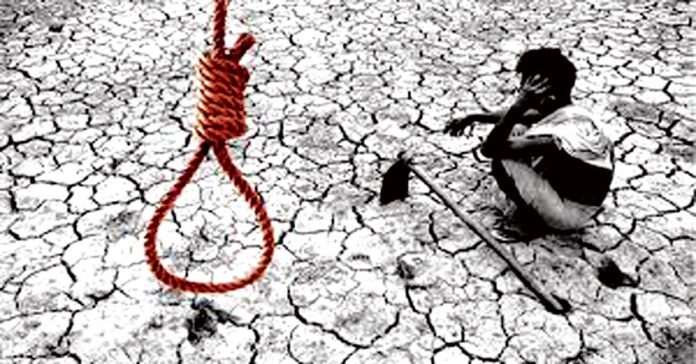 10 నెలల్లో 899 మంది రైతుల ఆత్మహత్య