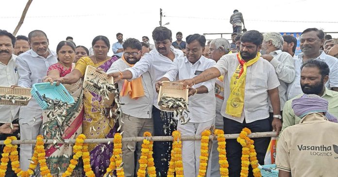 మత్స్యకారుల ఆర్థికాభివృద్ధి కోసమే ఉచిత చేప పిల్లల పంపిణీ : ఎమ్మెల్యే వీరేశం