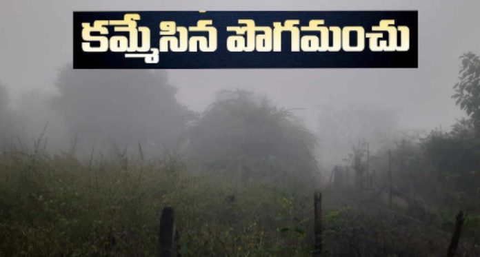 కమ్మేస్తున్న పొగమంచు