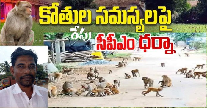 కోతుల సమస్య పరిష్కారానికి రేపు సీపీఐ(ఎం) ధర్నా