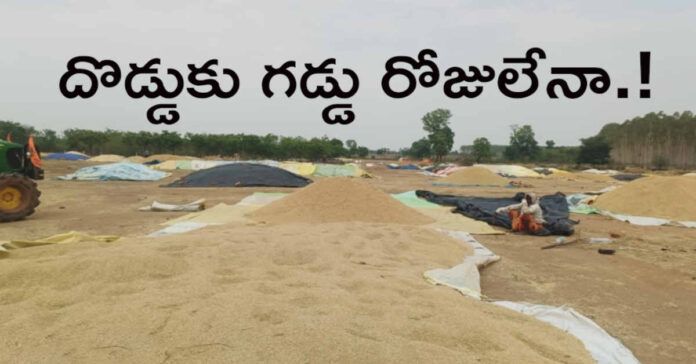 దొడ్డుకు గడ్డు రోజులేనా.!