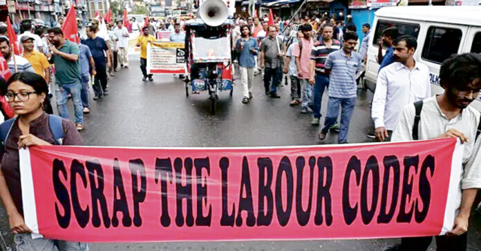 డాజ్లింగ్ ఫెన్స్