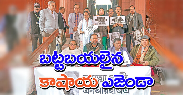 What kind of behavior is this?