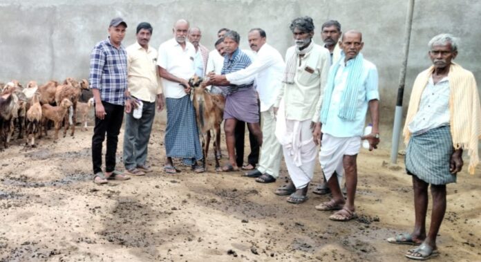 వ్యాధులు సోకకుండా పశువులను కాపాడుకోవాలి