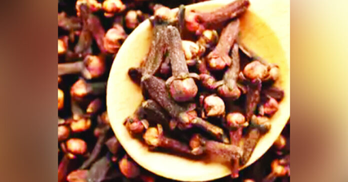 శీతాకాలంలో లవంగాలు….