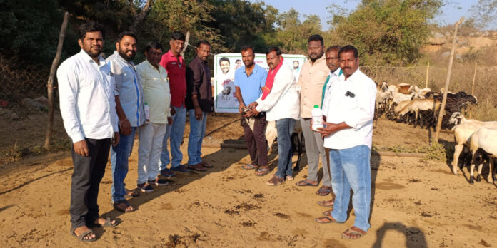 A decoction should be prepared for dumb animals.