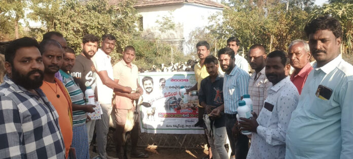 Apply timely anti-nutritional medicines