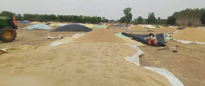 ధాన్యం సొమ్ము చెల్లింపుల్లో జాప్యం.!