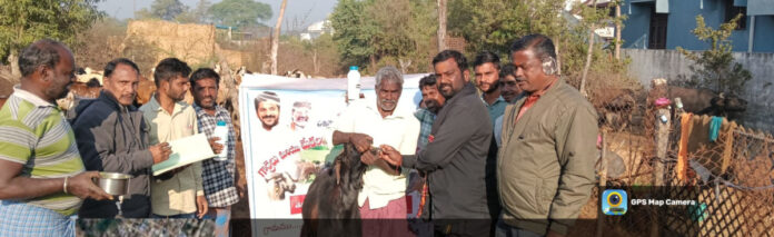 Distribution of anti-nutritional medicine in Kaligote