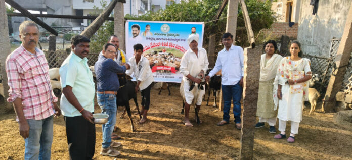 నట్టల నివారణ మందుల పంపిణీ