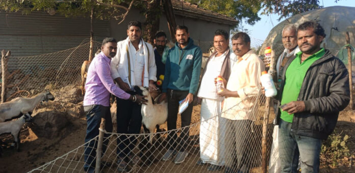 Distribution of anti-nutritional medicines in Antapur