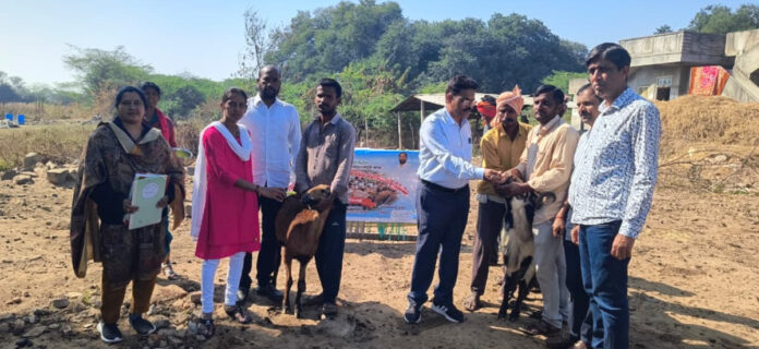 Distribution of free anti-malarial medicines