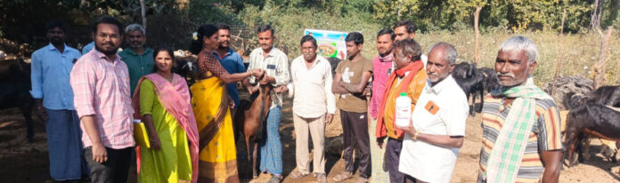 Distribution of smallpox vaccines