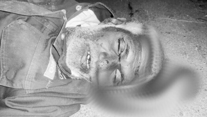 Elderly man dies after being hit by car