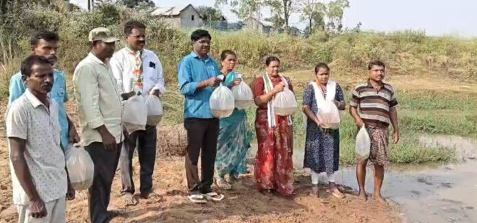 చేపల పెంపకంతో మత్స్యకారులకు ఉపాధి