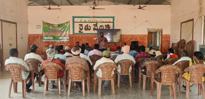 Farmers benefit more from natural farming