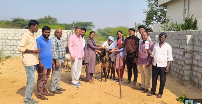 Farmers should pay attention to the prevention of nuts