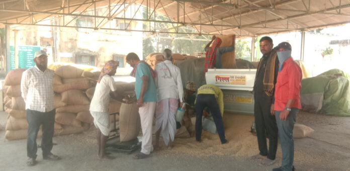 Farmers wait for soybean crop money