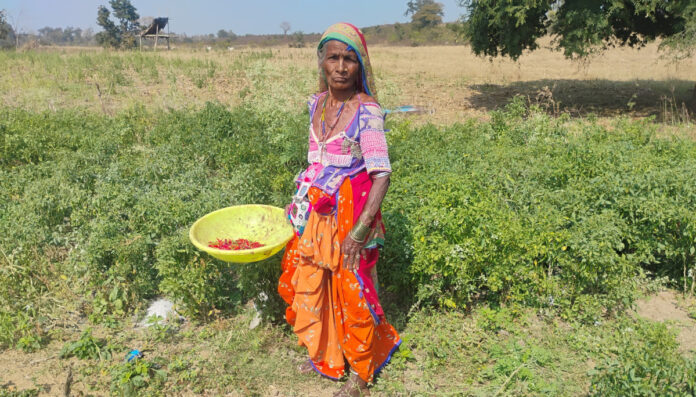 Farming at the age of eighty