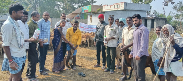 ఉచితంగా నట్టల నివారణ మందులు పంపిణీ