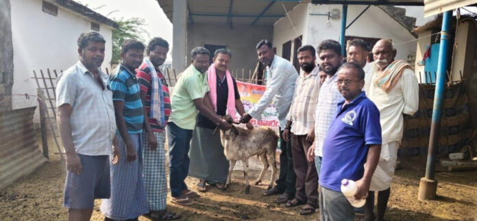 Free distribution of nut medicine in Mulkala Canal