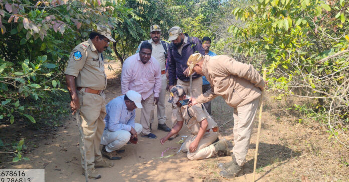 పెద్దపల్లి నుంచి.. భూపాలపల్లిలోకి పెద్దపులి అడుగు.!