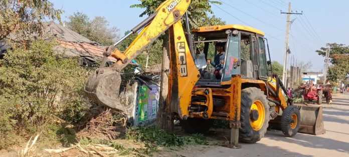 వనమహోత్సవం పేరుతో ప్రభుత్వం మొక్కలు నాటే ప్రారంభం