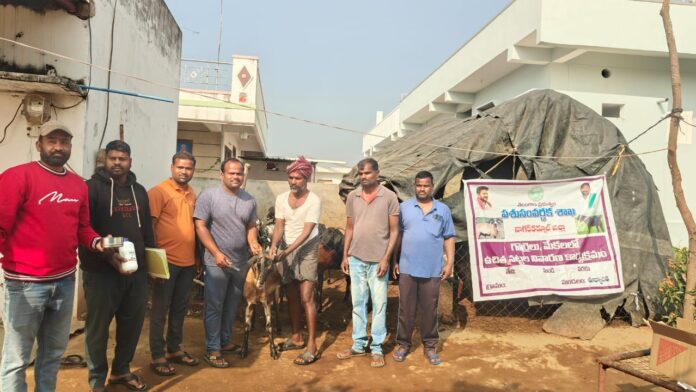 నట్టల నివారణ మందులతో సంపూర్ణ ఆరోగ్యం..