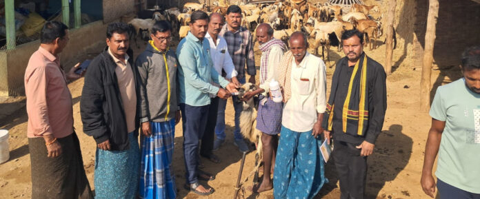 Insect repellent is essential for the protection of animals.