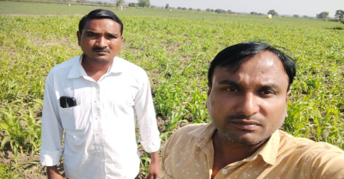 Nagulgaon MEO inspects Rabi crops