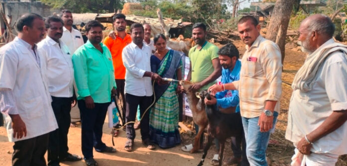 Nutrient prevention is key to the growth of organisms.