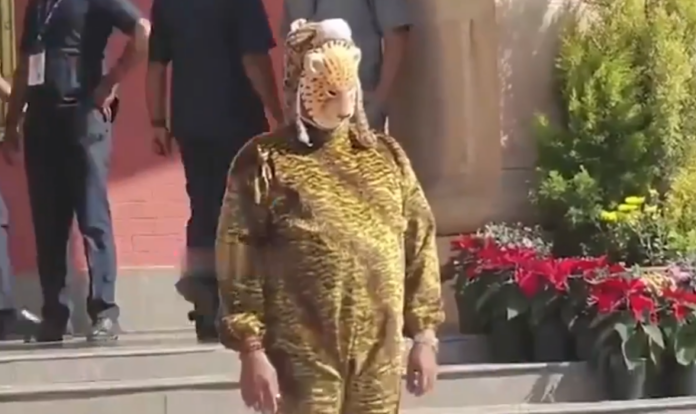 అసెంబ్లీకి చిరుత పులి వేషంలో వచ్చిన ఎమ్మెల్యే