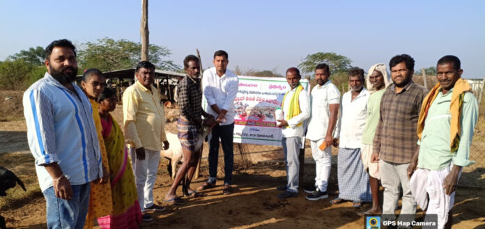 Take advantage of the free flea prevention program