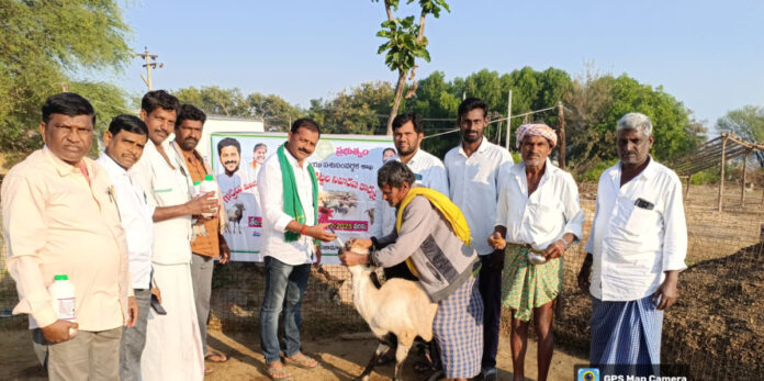 ఉచిత నట్టల నివారణ కార్యక్రమాన్ని సద్వినియోగం చేసుకోవాలి