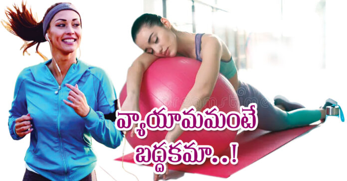 వ్యాయామమంటే బద్దకమా..!