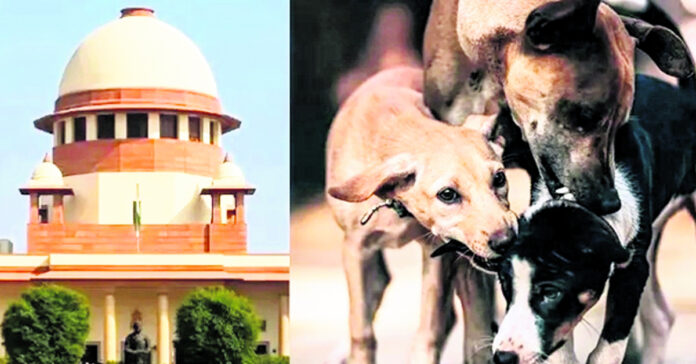 వీధికుక్కల కేసు వాయిదా జనవరి 7న విచారణ సుప్రీంకోర్టు