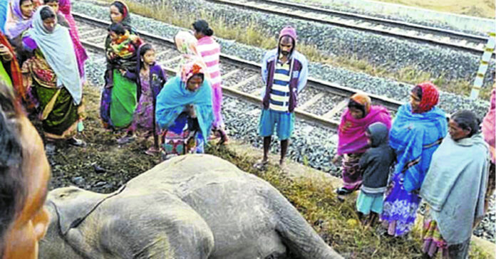రాజధాని ఎక్స్ప్రెస్ ఢీకొని..ఏడు ఏనుగులు మృతి