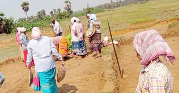 కూలీల హక్కులను కాలరాస్తుంది