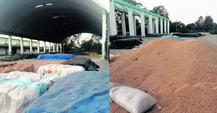 సోయా కొనుగోళ్లకు బ్రేక్