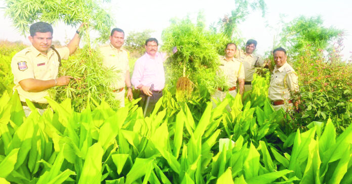 మత్తులో యువత చిత్తు