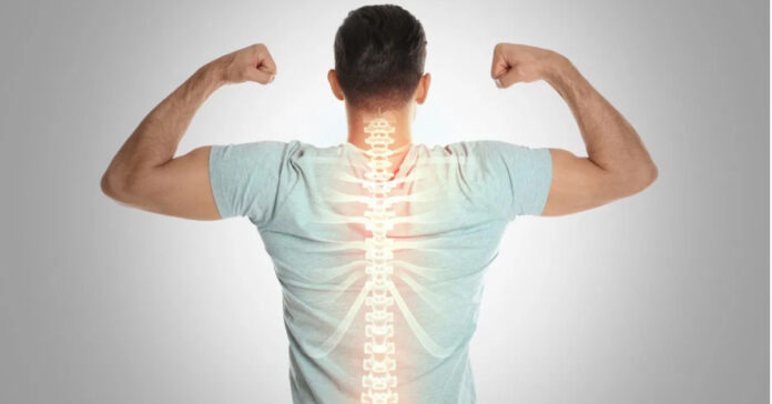 ఎముకలు బలంగా….