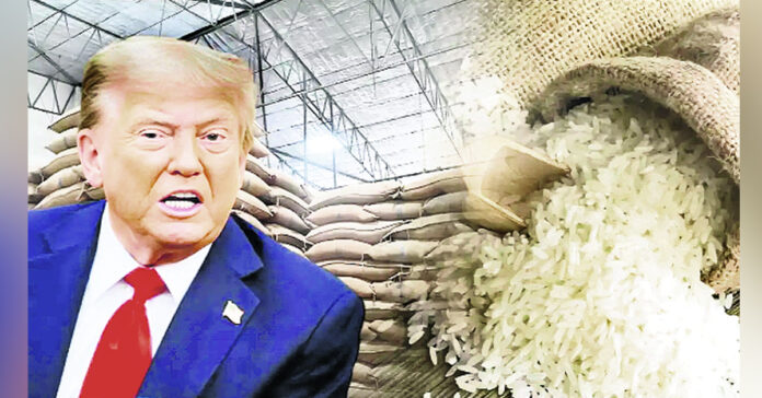 పరిమాణం తక్కువే అయినా విలువ ఎక్కువే