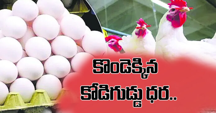 కొండెక్కిన కోడిగుడ్డు ధర..