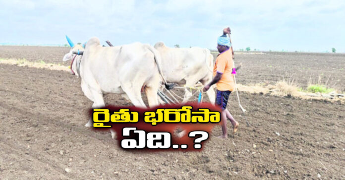 What is farmer assurance?