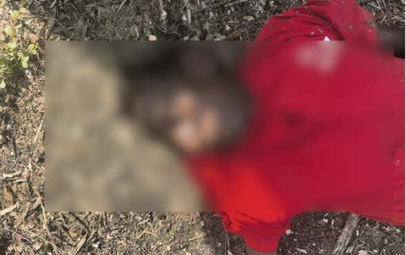ఈత చెట్టుపై నుంచి పడి గీత కార్మికుడు మృతి
