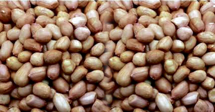 ఆరోగ్యానికి ఎంతో మేలు…