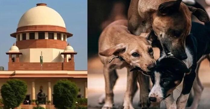 వీధి కుక్కల కేసు..జనవరి 7కి వాయిదా