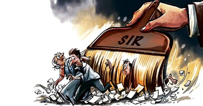 From 2025 to 2026...